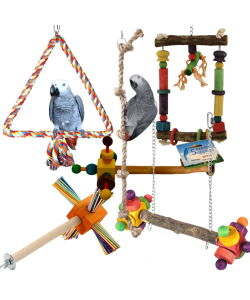 6 x Value Parrot Toy Pack Perfect For African Greys etc